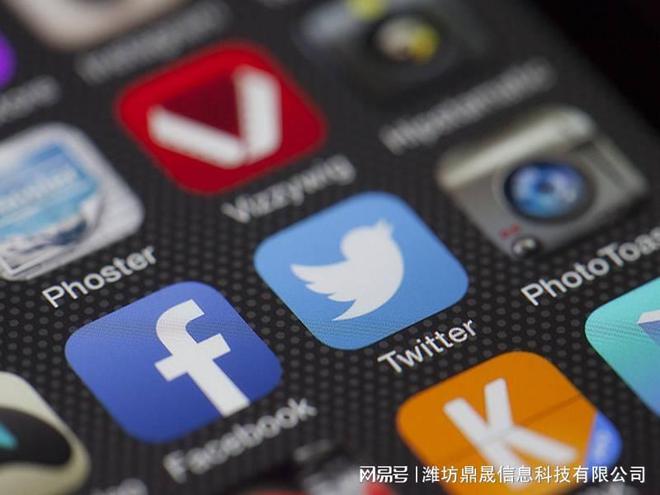 潍坊企业网站建设推广策划方案(图1)