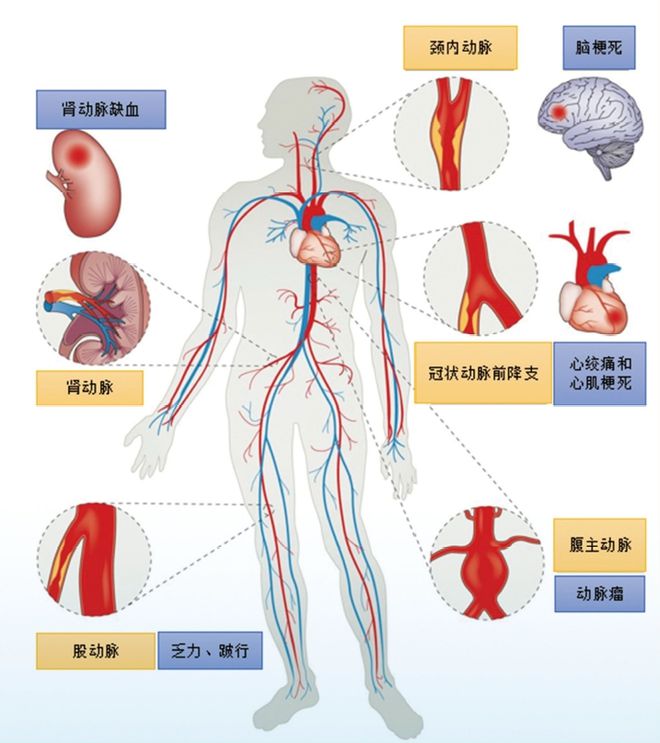 OCC-WCC2024特别策划丨从“一人之言”到“百家争鸣”——中国理念走向世界(图3)