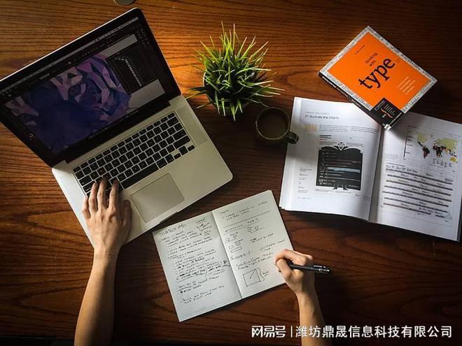 米乐M6网页版：大型网站建设规划方案(图1)