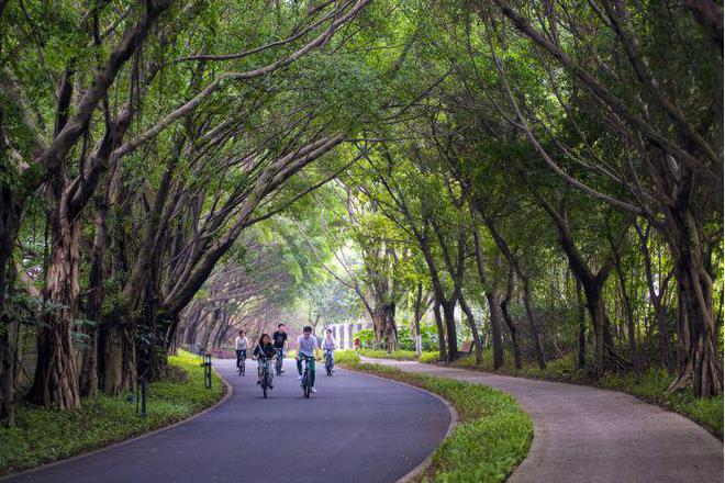 米乐M6网页版：2024网站发布丨佛山南海广佛新世界凯璟湾售楼中心欢迎您(图11)