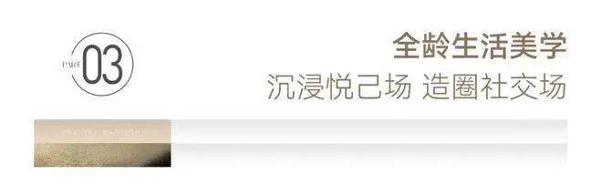 苏嘉玖晟园(售楼处)首页网站嘉兴南湖苏嘉玖晟园欢迎您楼盘详情户型价格(图30)
