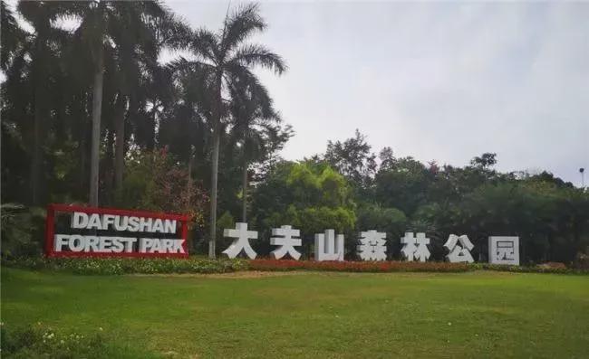 米乐M6平台：广州「大华紫悦府』网站-2024最新房价丨大华紫悦府最新详情(图3)