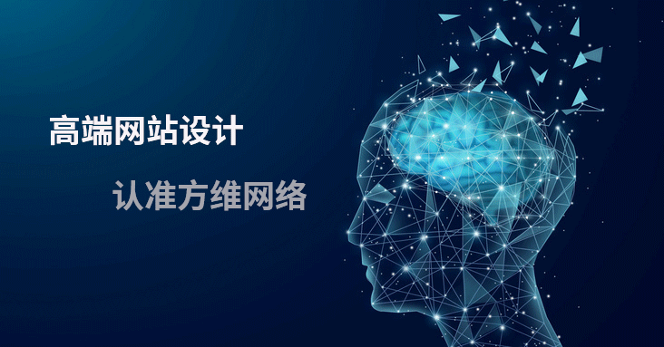 个性化互联网家园：揭秘定制网站的魅力与实操攻略(图2)
