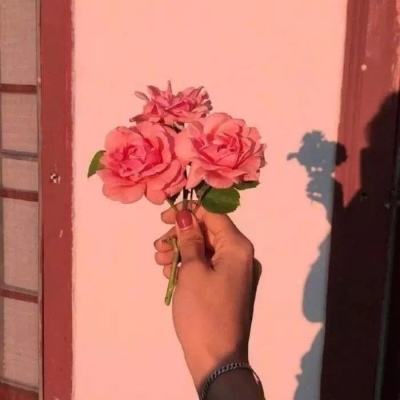 欢迎来到澳门六开彩开奖结果记录(图1)