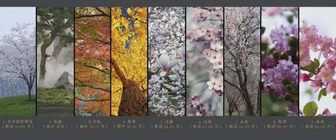 2024万科东庐售楼处丨北京·万科东庐网站最新发布-房源房价！(图13)