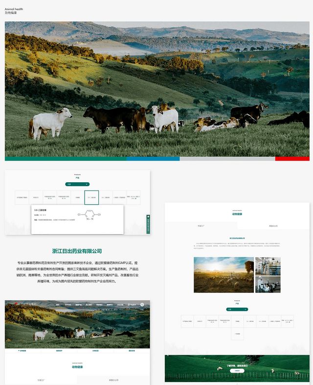 2024网站建设制作公司TOP3(图1)
