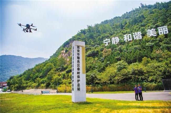 米乐M6：绿水青山踏歌行︱三秦大地处处激荡着绿色脉动(图4)