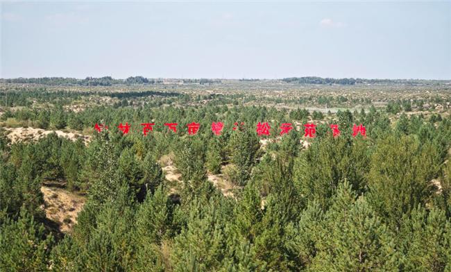 米乐M6：绿水青山踏歌行︱三秦大地处处激荡着绿色脉动(图6)