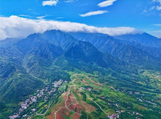 米乐M6：绿水青山踏歌行︱三秦大地处处激荡着绿色脉动(图2)