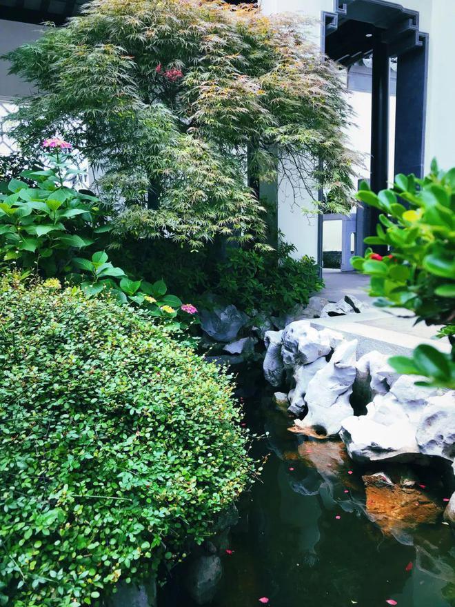 米乐M6平台：『天然居文化坞』2024售楼处电话-楼盘详情-苏州房天下(图8)