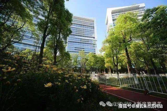 中鹰黑森林(2024年中鹰黑森林)首页网站-楼盘详情-户型配套(图6)