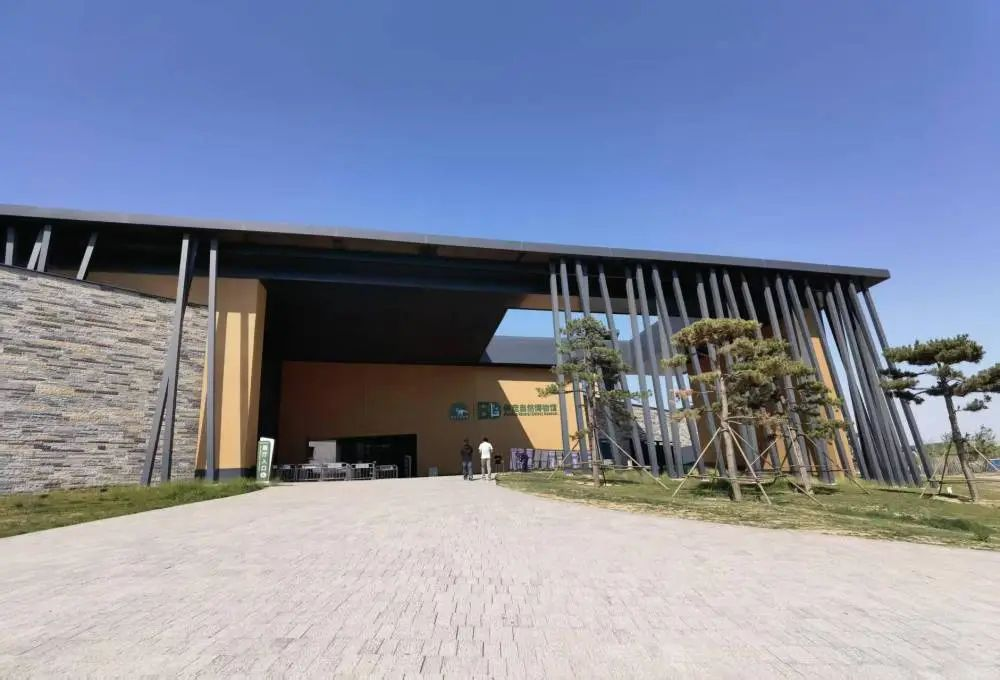 保定探“宝”记：果然“这么近”居然“那么美”(图10)