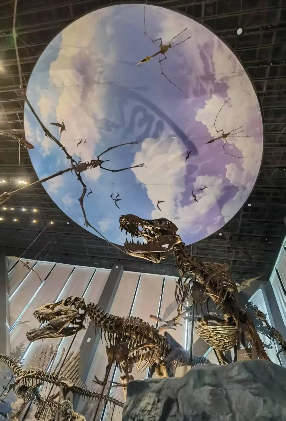 保定探“宝”记：果然“这么近”居然“那么美”(图11)