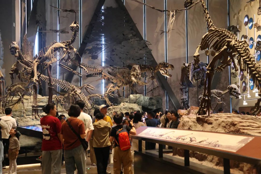 保定探“宝”记：果然“这么近”居然“那么美”(图12)