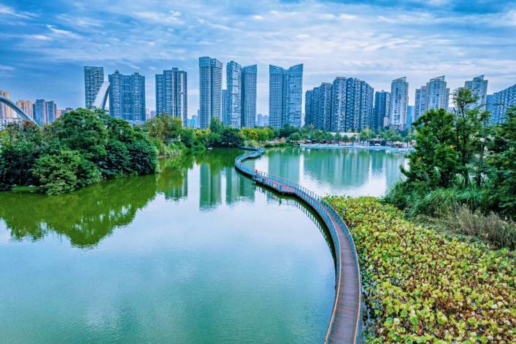 成都【红树湾三期】首页网站-售楼处中心楼盘详情价格户型(图6)