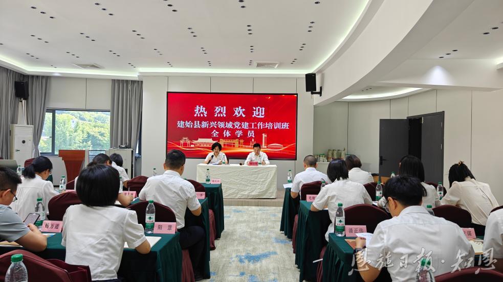 筑牢红色“新”阵地汇聚发展“新”动能(图3)