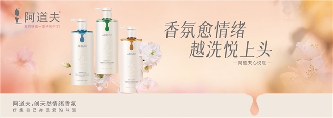 阿道夫玩转全域营销打通增长链路(图3)