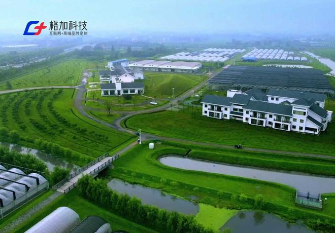 米乐M6网页版：2025年国内网站建设十佳公司设计定制能力出众(图2)