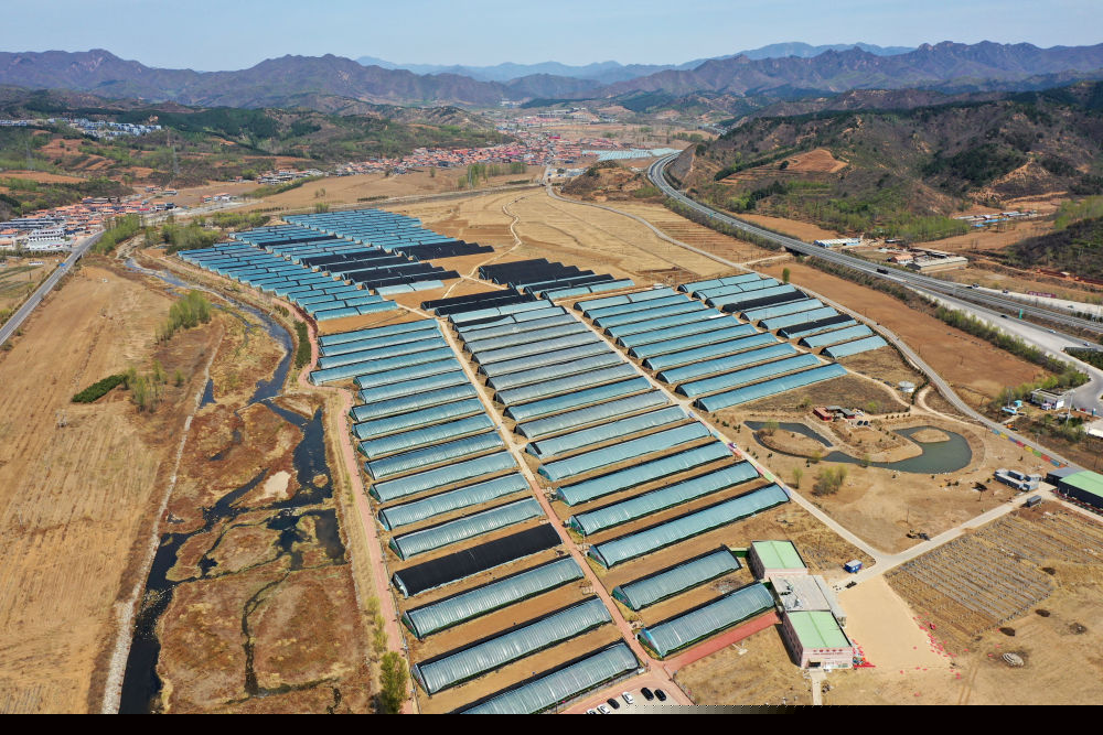 米乐M6网页版：从太空看“十四五”｜乡村振兴万象新(图6)