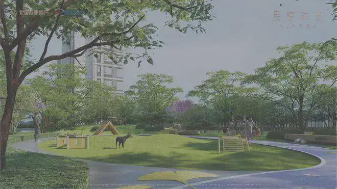 星悦时光（售楼处）欢迎您-首页网站-星悦时光楼盘详情价格户型(图12)