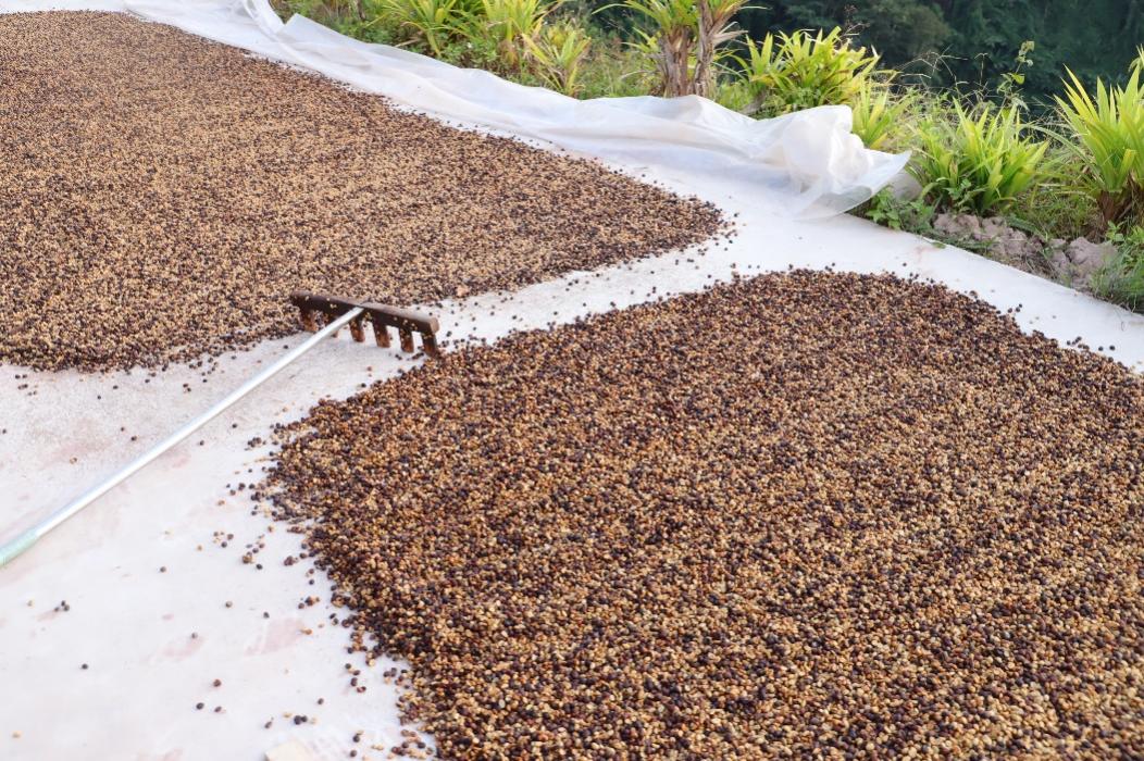 拼多多“千亿扶持”落地半年电商平台“包邮区”持续扩大更多地区享受便利网购服务