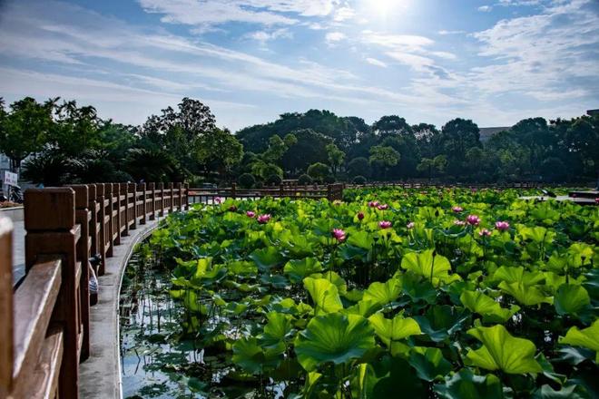 米乐M6：森兰海天名筑网站2025海天名筑营销中心(售楼处中心-全新）(图10)