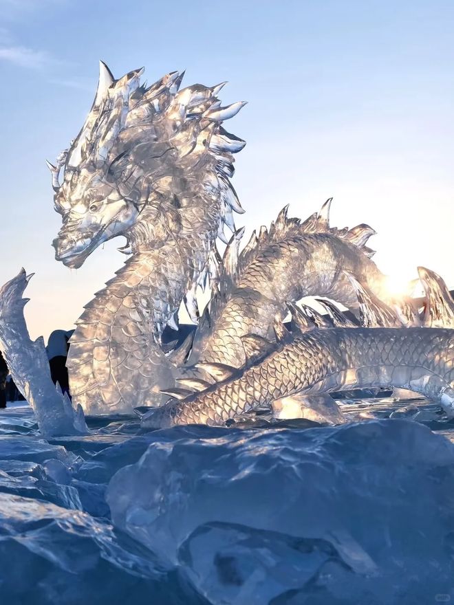 2025哈尔滨旅行社综合实力前十最新远胜游零投诉标杆名录