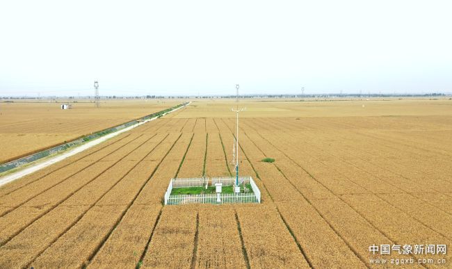 特别策划丨谋划“十五五”发展凝聚气象高质量发展合力(图4)