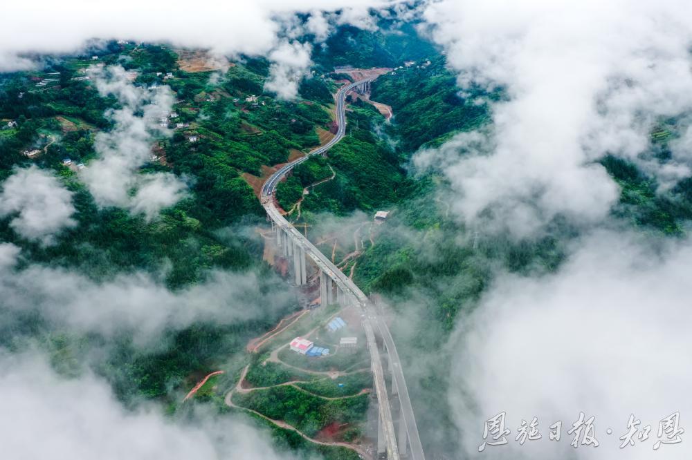 米乐M6网页版：中国环境报客户端丨只此青绿、尽抒锦绣！巴东将一个个绿色故事写实在巴山楚水间(图6)