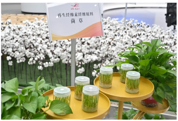 河南智造焕新记(图6)