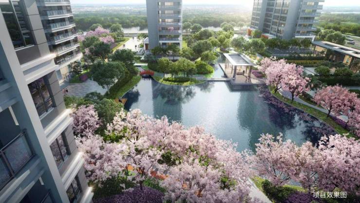 苏州新房高铁新城日系大宅和风雅信(和风雅信网站首页)图文详解-户型-地址-价格-周边配套-售楼处(图6)