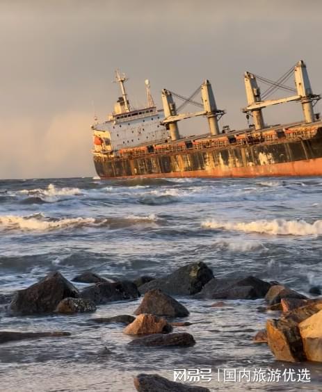 米乐M6平台：去青岛旅游找哪家旅行社靠谱？靠谱旅行社大盘点(图2)