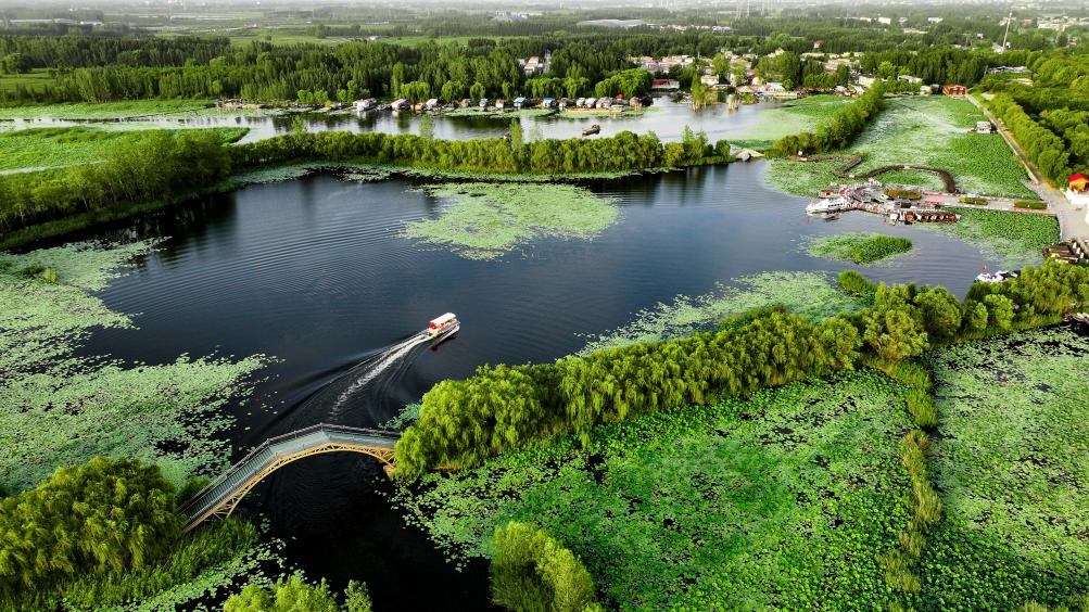 最严的法治守护最美的山水(图1)