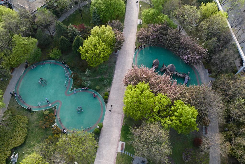 最严的法治守护最美的山水(图3)