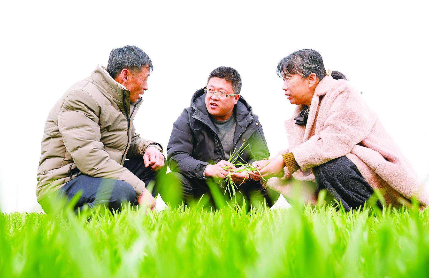 米乐M6网页版：德报读图禹城：田畴染新绿春管正当时(图1)