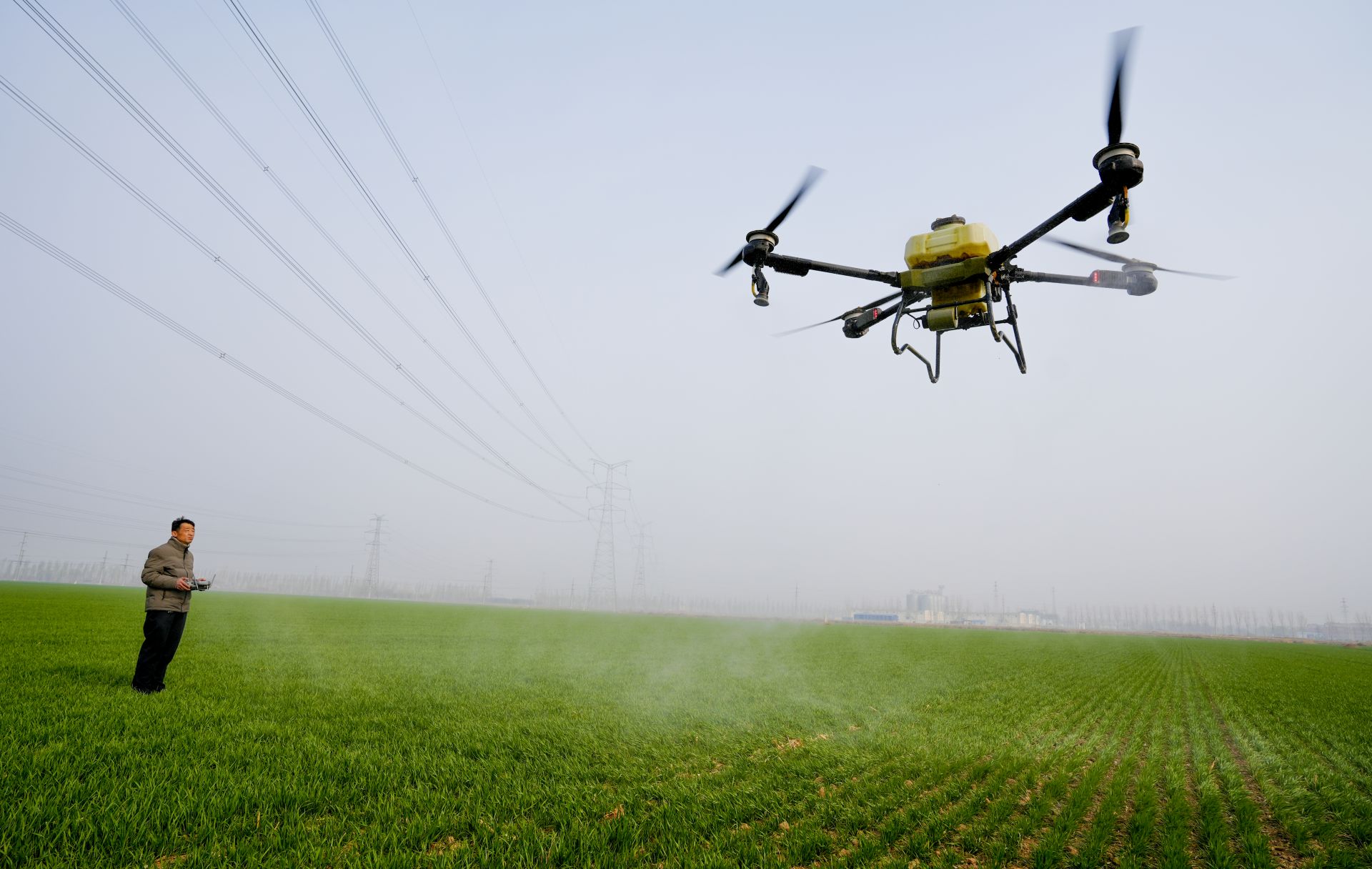 米乐M6网页版：德报读图禹城：田畴染新绿春管正当时(图2)