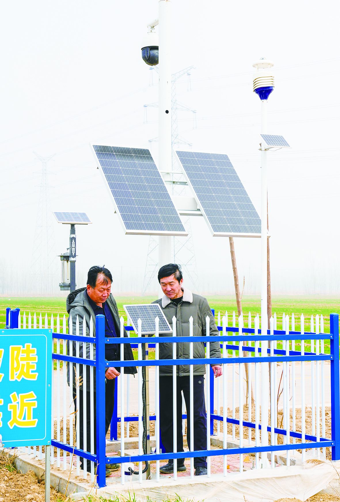 米乐M6网页版：德报读图禹城：田畴染新绿春管正当时(图3)