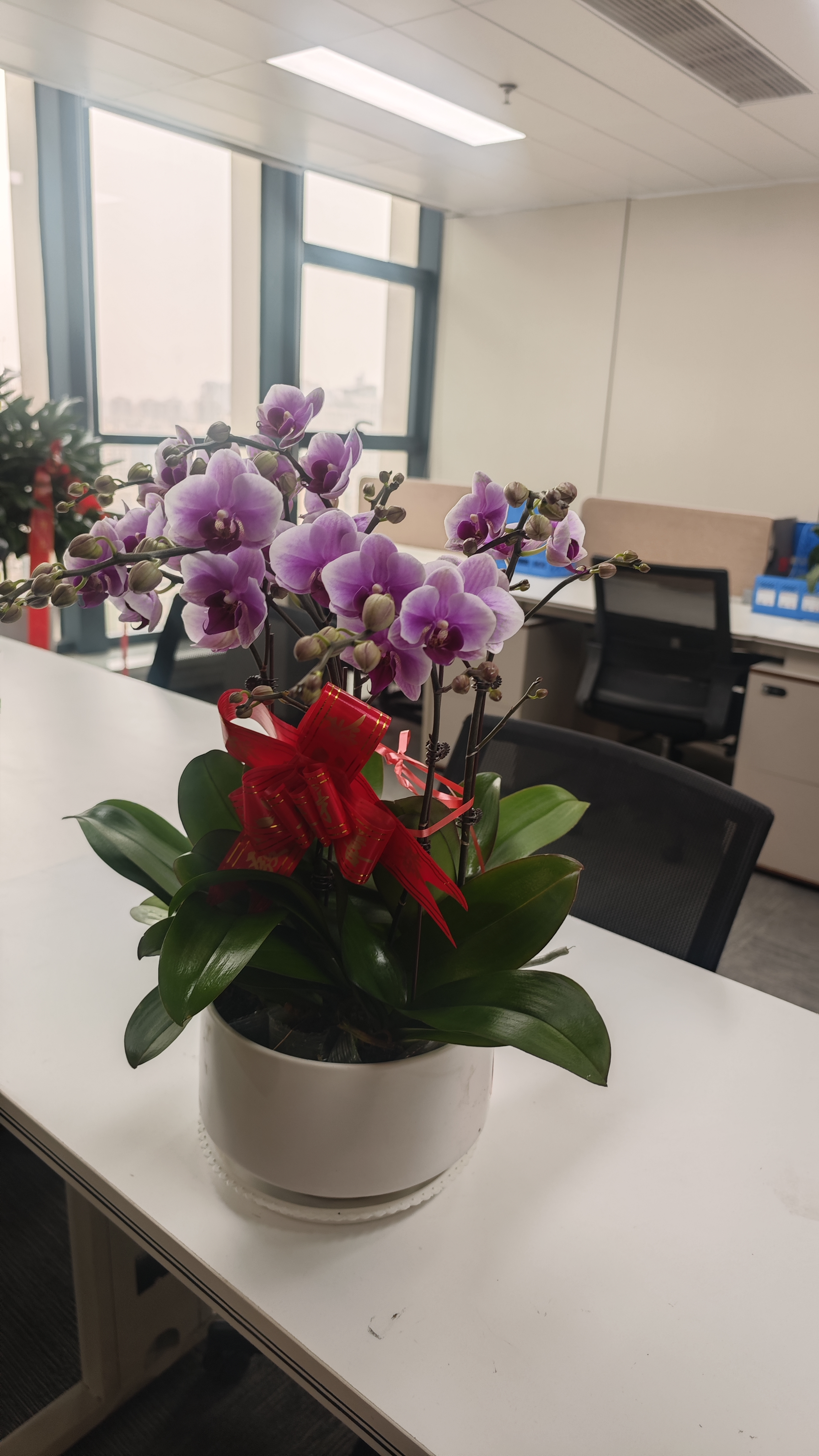 2024外贸建站服务商深度测评：陕西企业如何选择数字化出海伙伴？(图1)