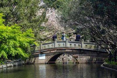 万科中兴傲舍售楼处电话-万科中兴傲舍热线-环境户型价格地址交房时间配套全解析内环改善热搜盘(图13)