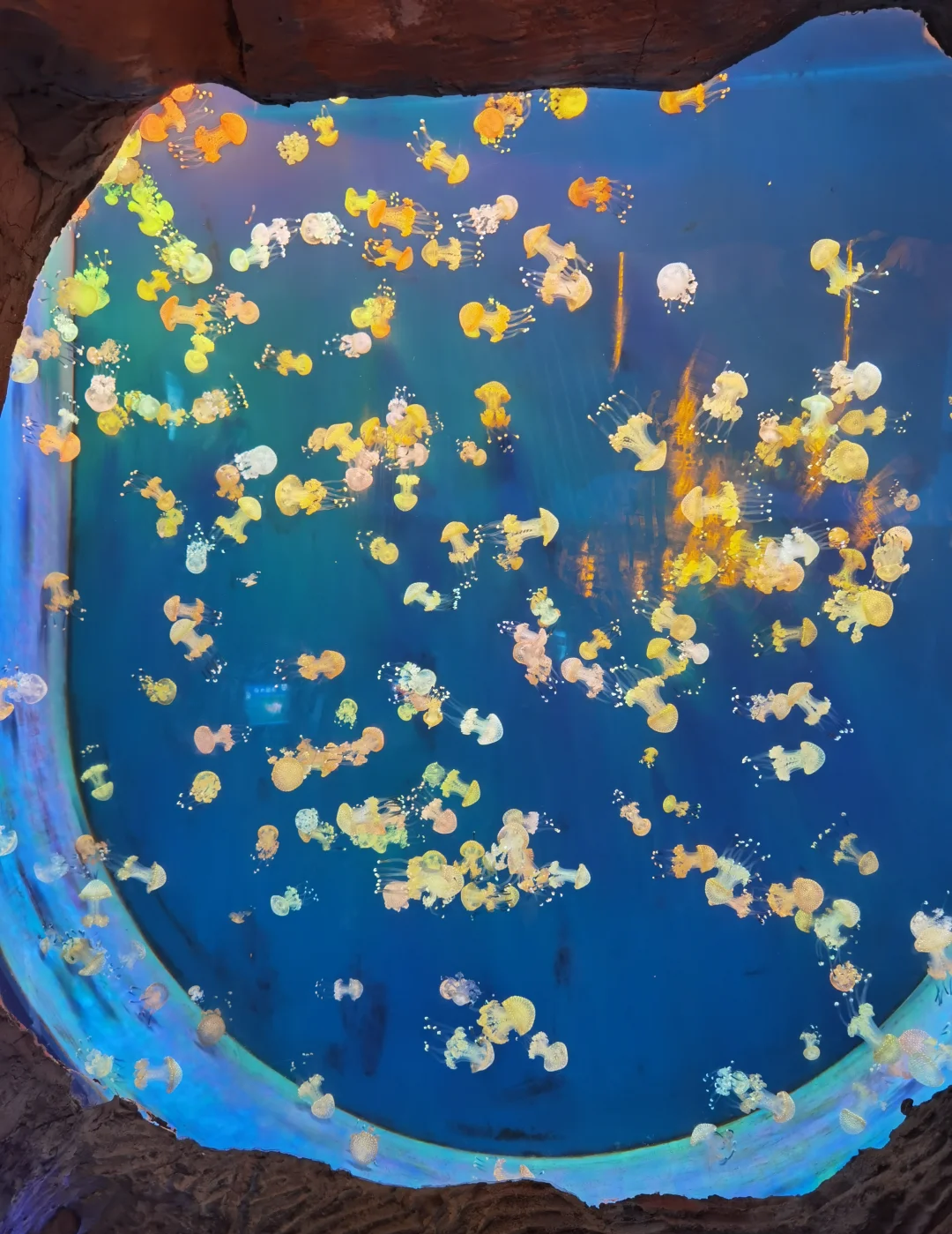 2024年至今养马岛跟团游服务商综合评估与选择指南(图3)