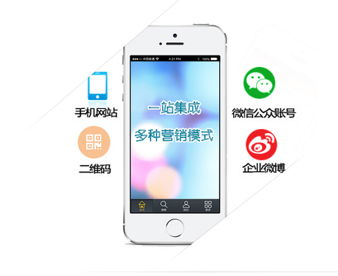 泽维尔网络科技(图5)